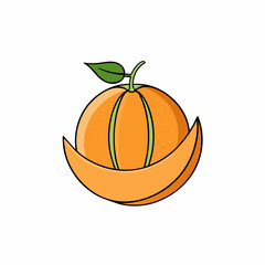 cantaloupe vector illustration