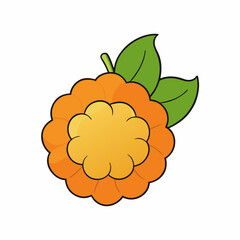 vector illustration of a cloudberry