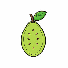 vector illustration of a guava