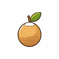 vector illustration of a longan fruit