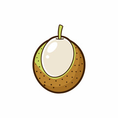 longan fruit with leaf