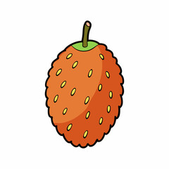 marang fruit on white background