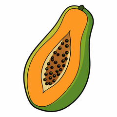 vector illustration of a papaya
