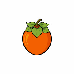 vector illustration of a persimmon
