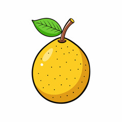vector illustration of a pomelo