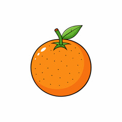 vector illustration of a satsuma fruit