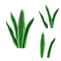 Elements of Green Fresh Tropical Leaves Foliage Grass Plant in the Park Garden