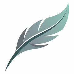 Obraz premium sleek feather with gentle curves