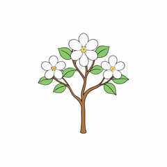 Fototapeta premium dogwood tree with leaves