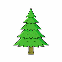 fir tree vector illustration