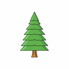 fir tree vector illustration