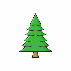 fir tree vector illustration