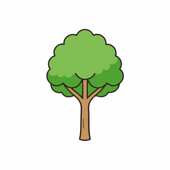 hickory tree isolated on white