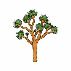 vector illustration of a joshua tree