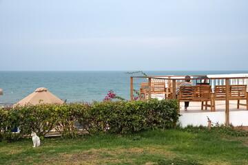 Ras Al Khaimah Beach, UAE, the Romantic beach  park in the afternoon, Persian Gulf, with Umbrella and Shades
