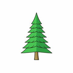 spruce tree vector illustration