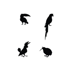 Fototapeta premium Bird Silhouette