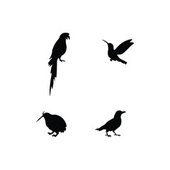 Fototapeta premium Bird Silhouette