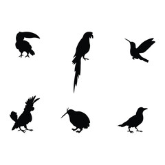 Bird Silhouette