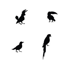 Bird Silhouette