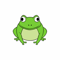 bullfrog on white background