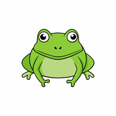 bullfrog on white background