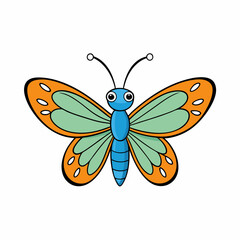 butterfly on white background