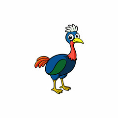 cassowary isolated on white background