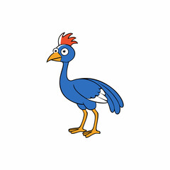 cassowary isolated on white background