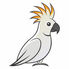 cockatoo on white background