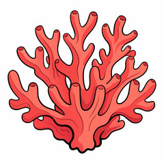 coral vector illustration