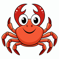 red crab on white background