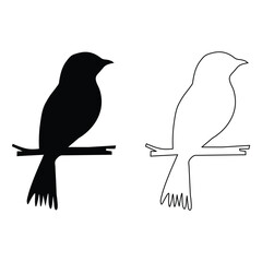 two birds on a branch