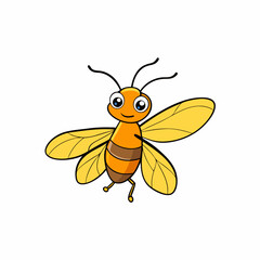 firefly on a white