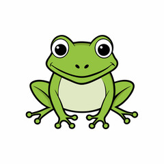 frog on white background