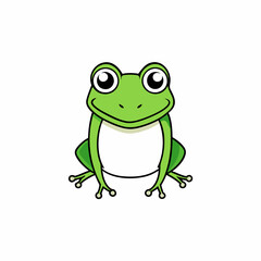 frog on white background