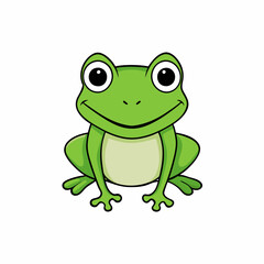 frog on white background