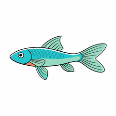 guppy fish isolated on white