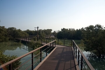 Obraz premium Abu Dhabi, United Arab Emirates – March 02, 2025, the view of the Jubail Mangrove Parks the first self-contained educational, nature and leisure destination
