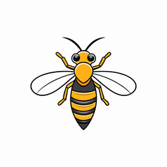 hornet on white background