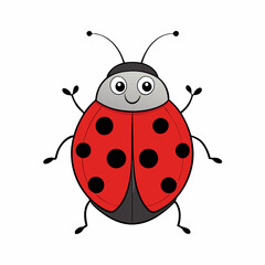 ladybug on white background