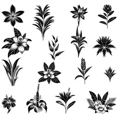 seamless pattern with black and white flowers