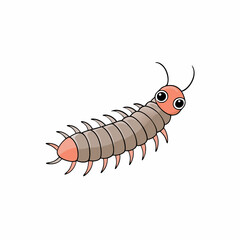 millipede on white background
