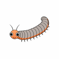 millipede on white background