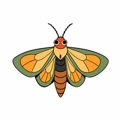 moth vector illustration