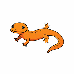newt on a white