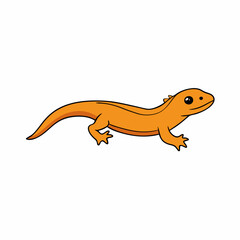 newt on a white