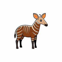okapi isolated on white background