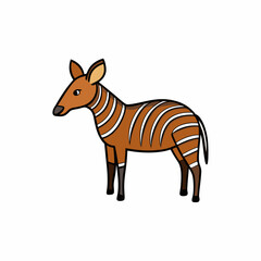 okapi isolated on white background