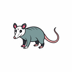 opossum vector illustration